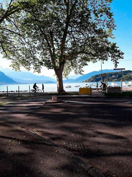 55 m²/ Chez LÔrette/ 250m LAKE/ PRIVATE PARKING Annecy Kültér fotó